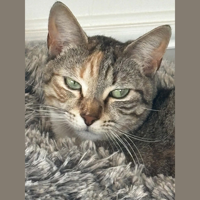 Photo of Anna