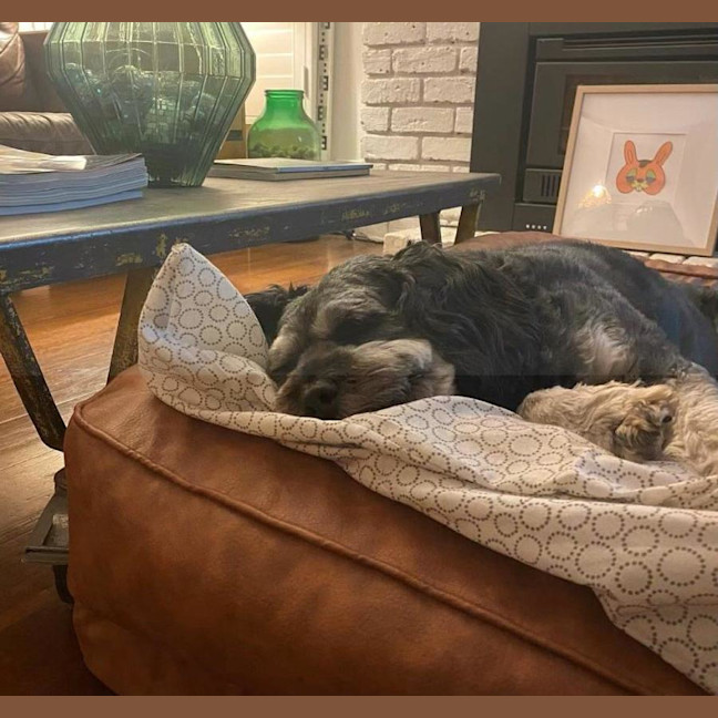 Photo of Roy Valenti