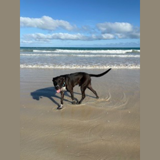 Photo of Rudi