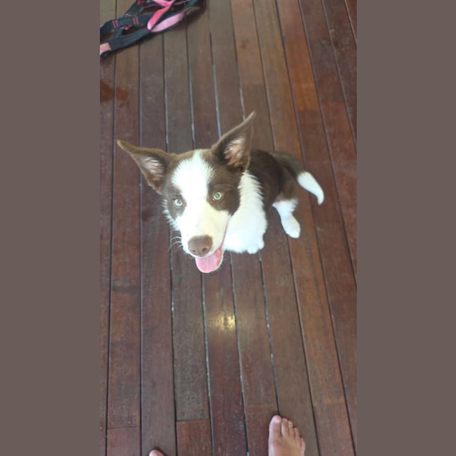 Photo of Jinx