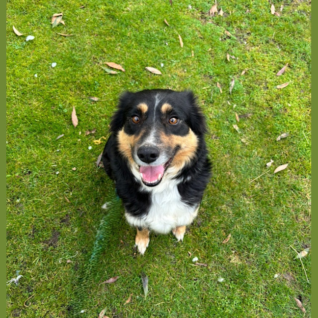 Photo of Ruby