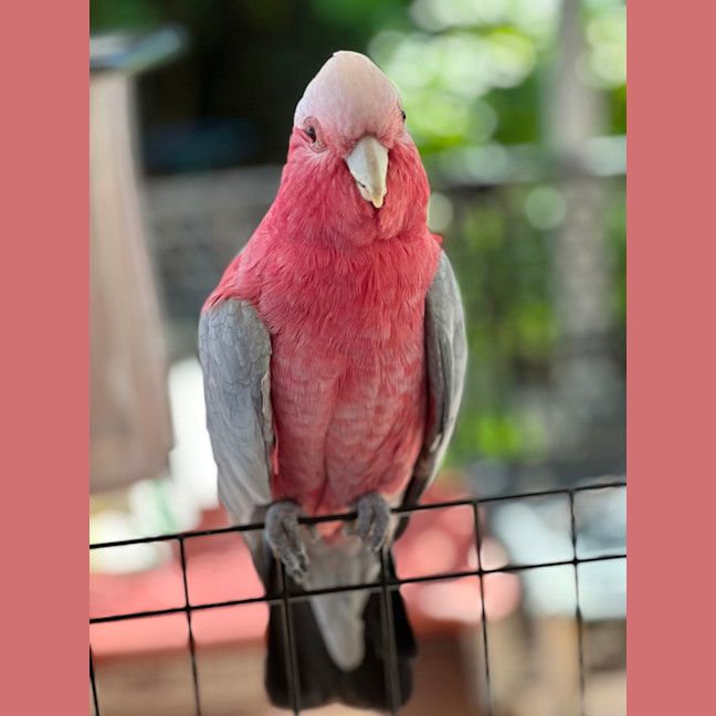 Photo of Sunny