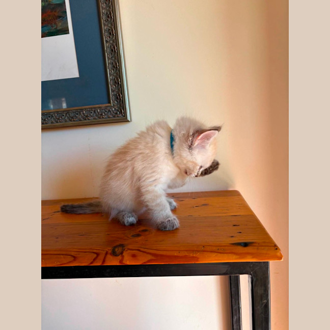 Photo of Bob