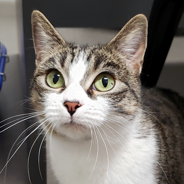 Photo of Luna Suk012823