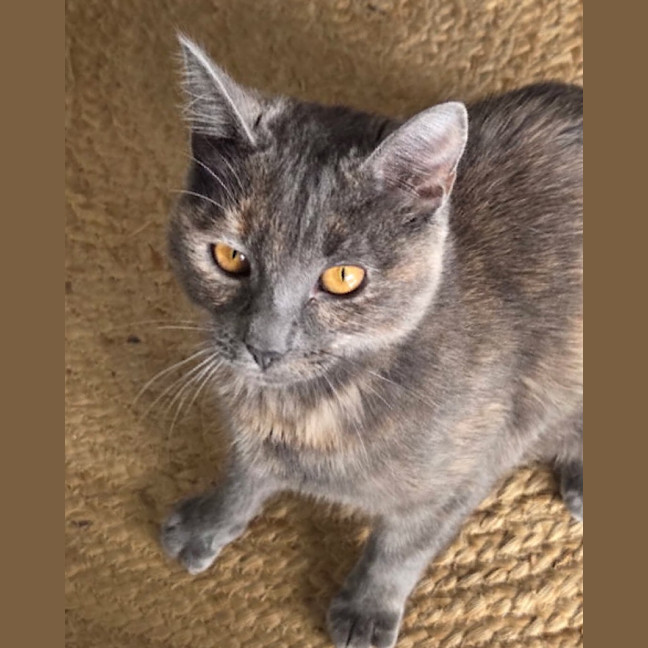 Photo of Lilly