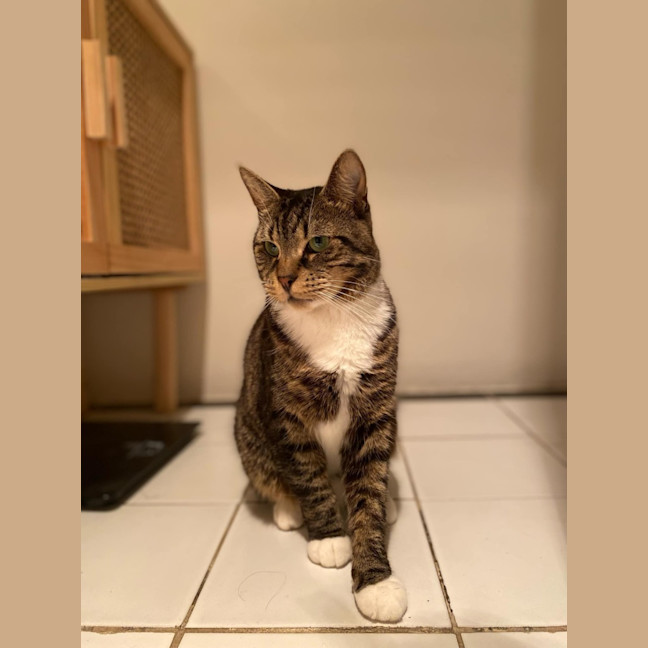 Photo of Chester   Located In Richmond