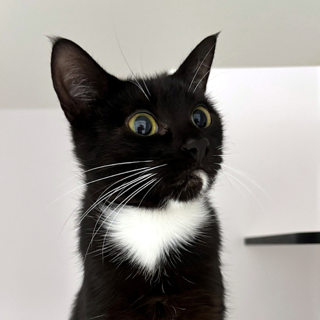 Photo of Missy Sta013399