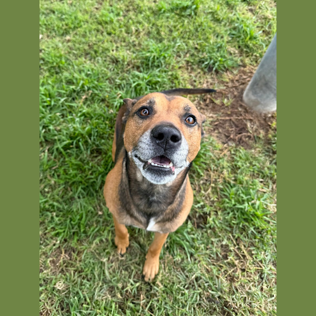 Photo of Scooby 