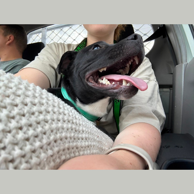 Photo of George Costanza