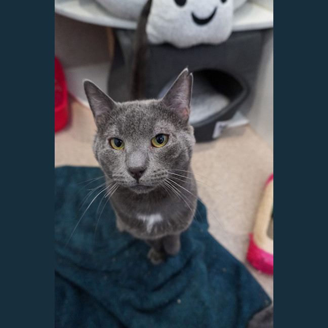 Photo of Sweetie Boy