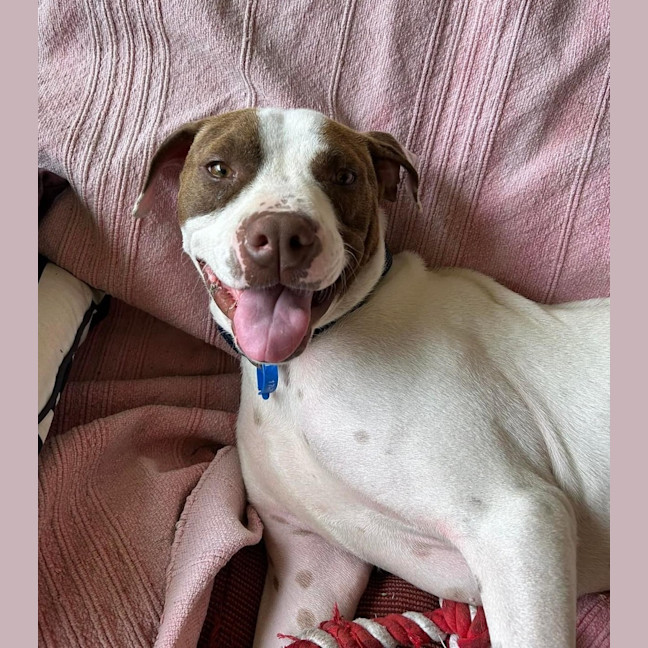 Photo of Duke