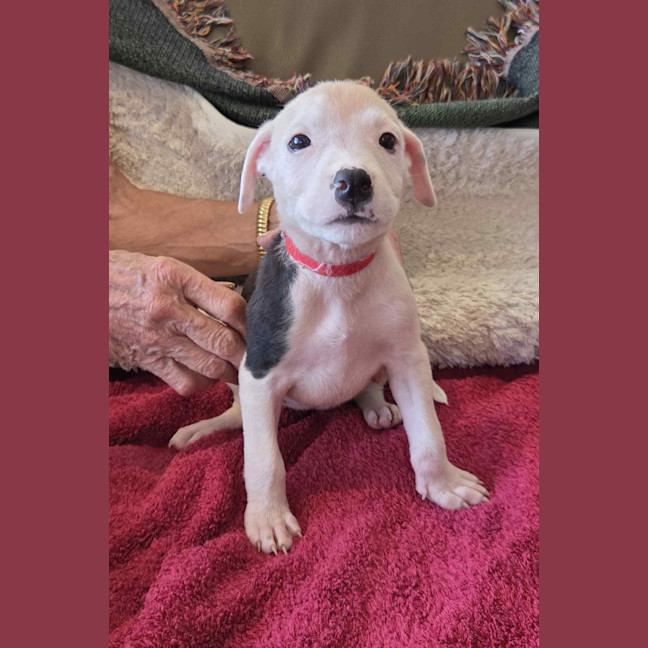Photo of Maggie