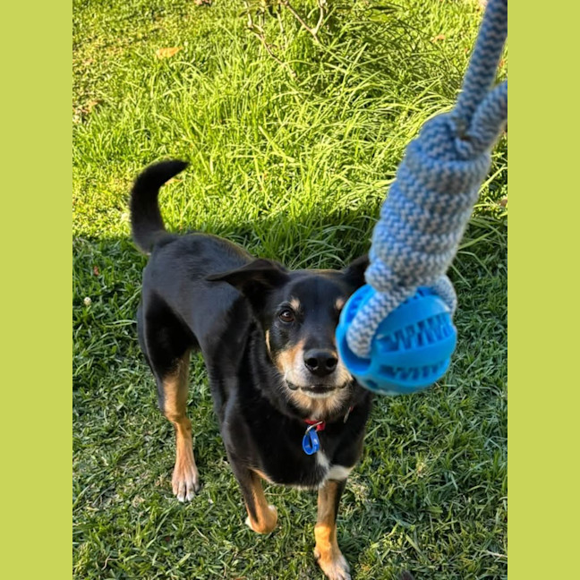 Photo of Fred