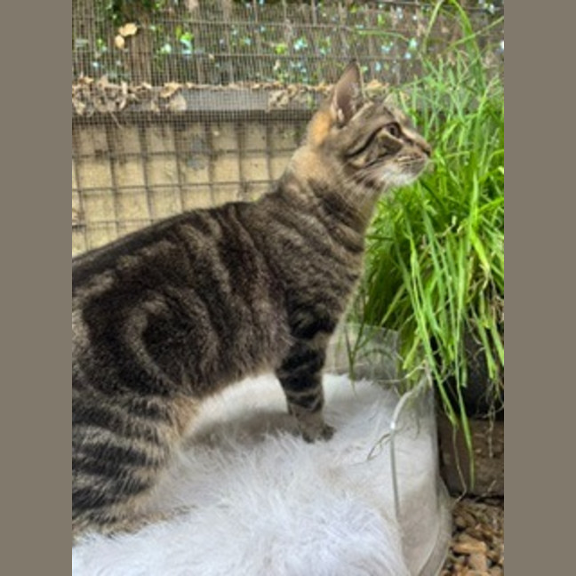 Photo of Monty