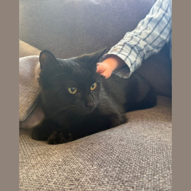 Photo of Black Betty