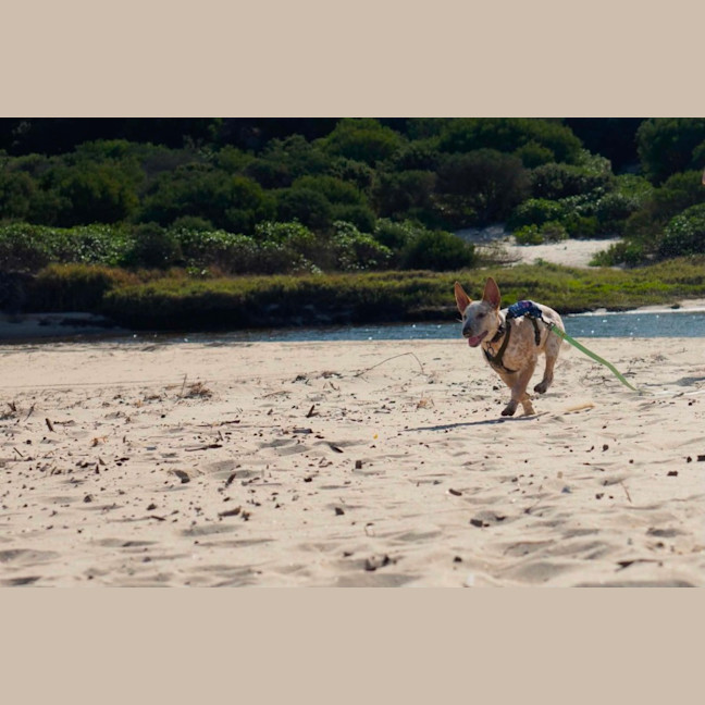 Photo of Xena