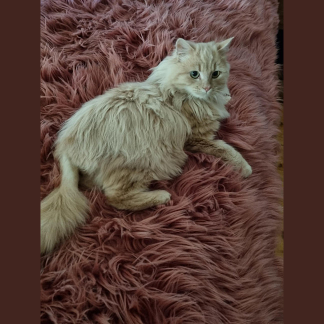 Photo of Wesley