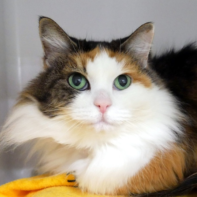 Photo of Pippi Rsua009186