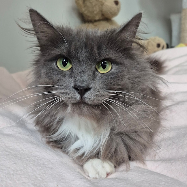Photo of Charlotte
