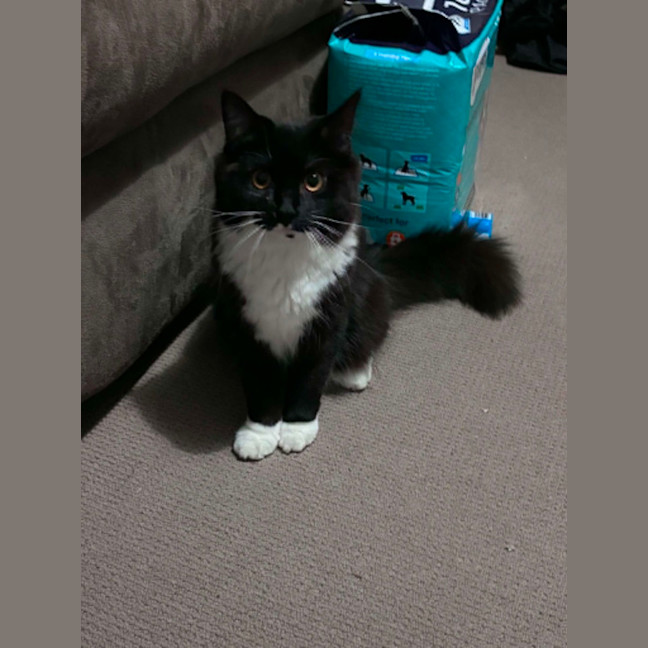 Photo of Vy 