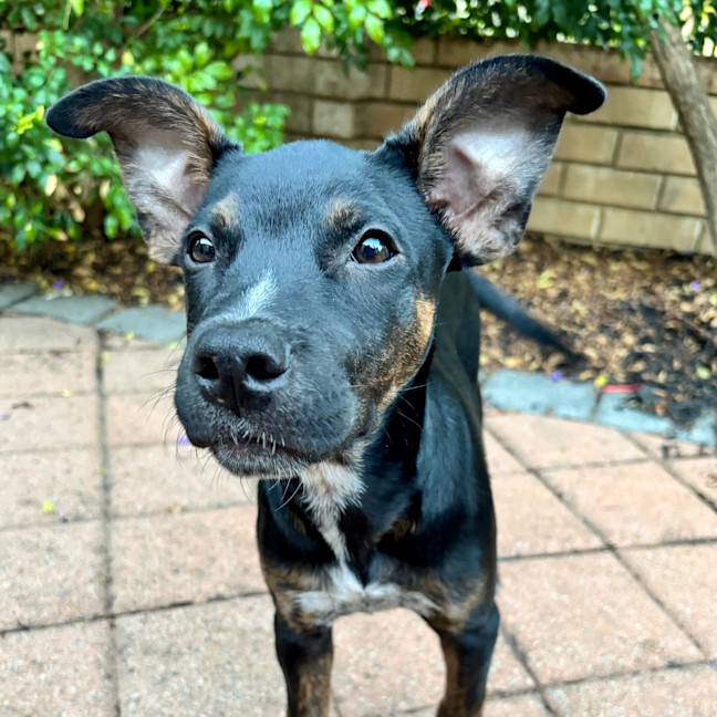 Photo of Lumi