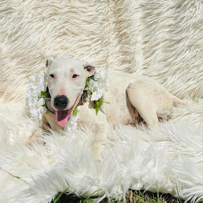 Photo of Lumi