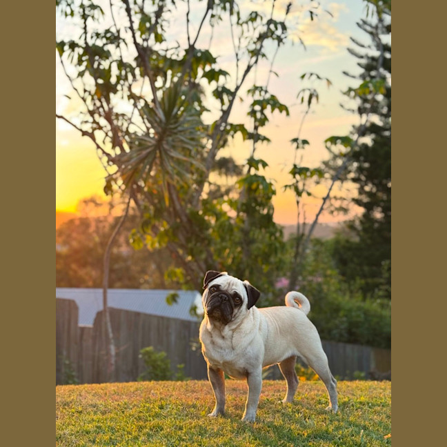 Photo of Casper 👻