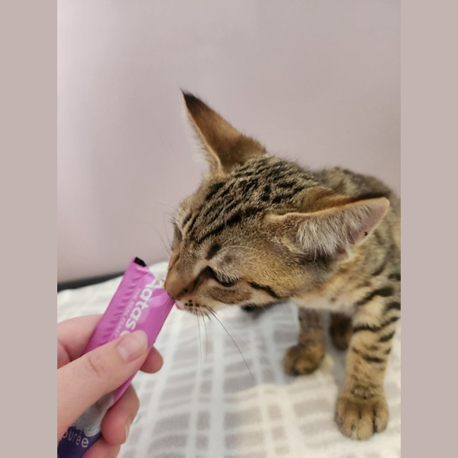 Photo of Andy   On Display @ Vets On Parker