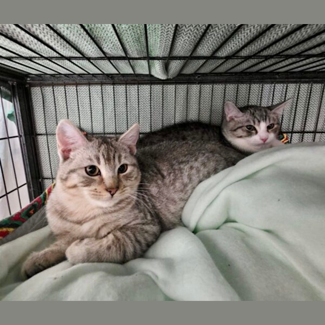 Photo of Frankie And Floyd