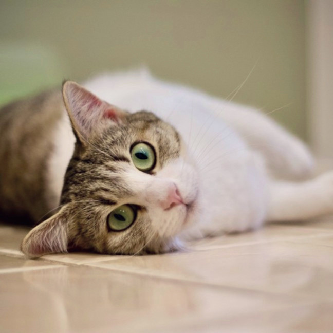 Photo of 🌷 Mia 🌷