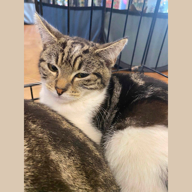 Photo of Jemima