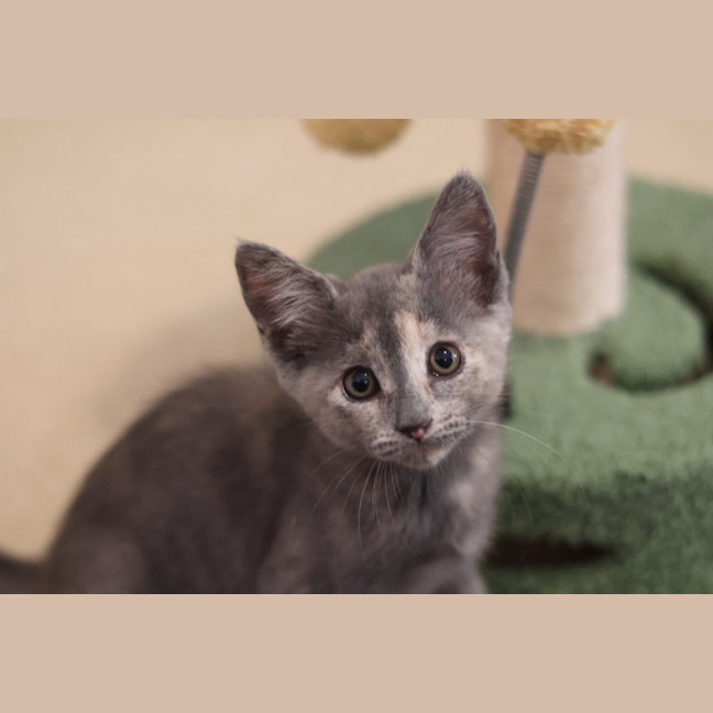 Photo of Bettina 