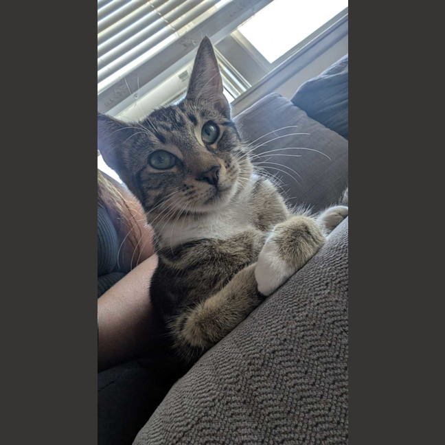 Photo of Little Man