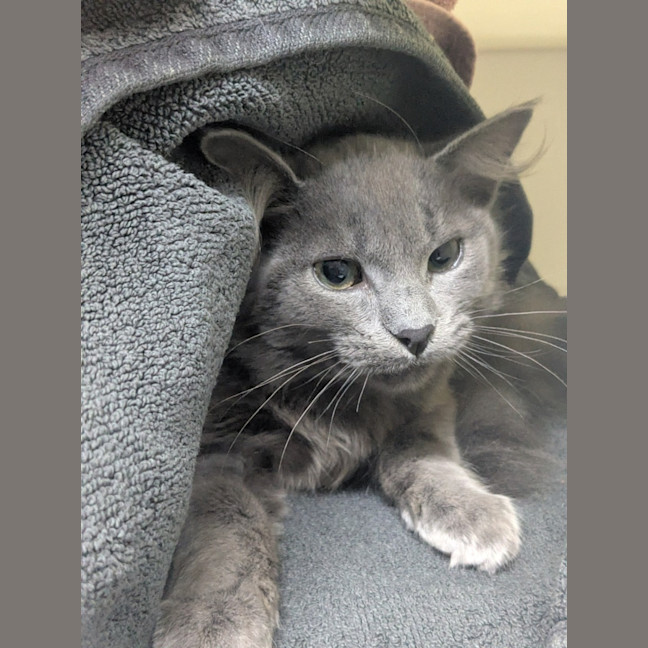 Photo of 💙 Misha 6699 💙