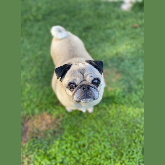 Photo of Harper