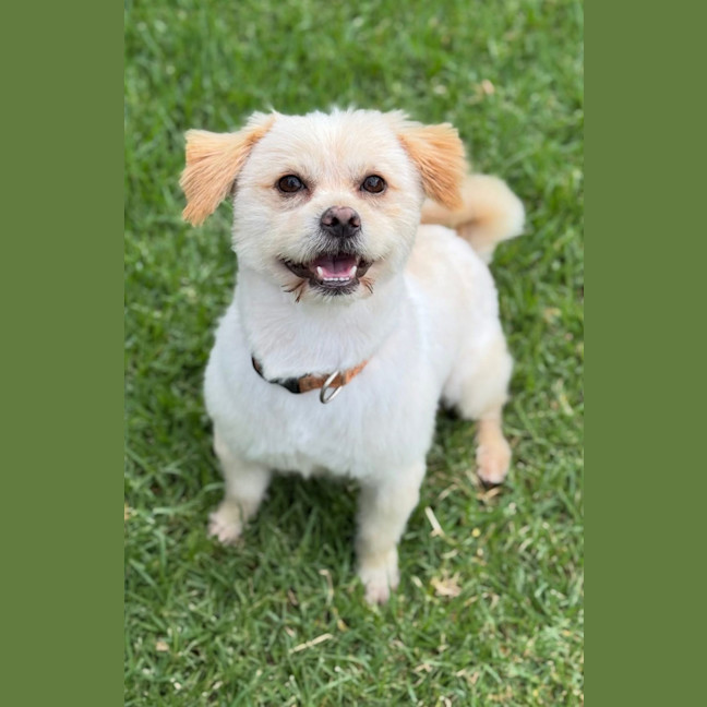 Photo of Krispy Kreme 