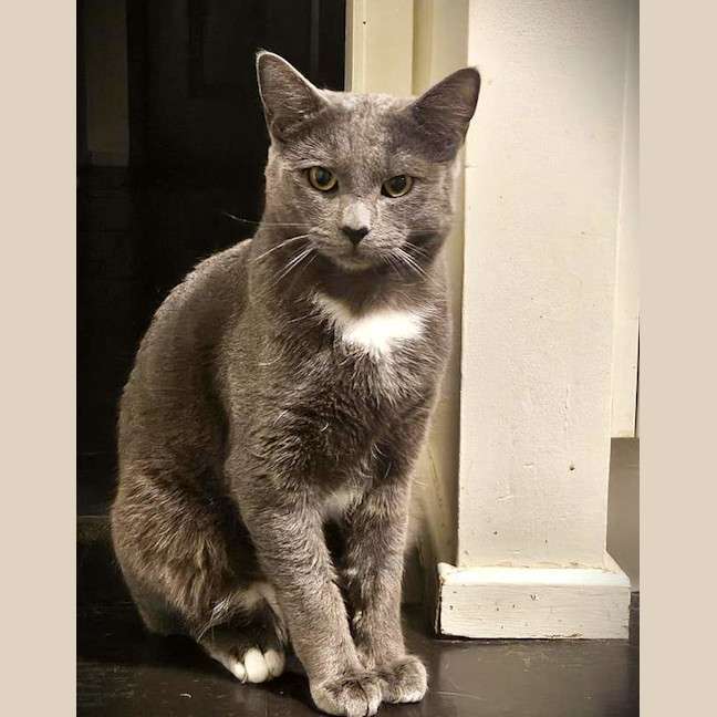 Photo of Oyster