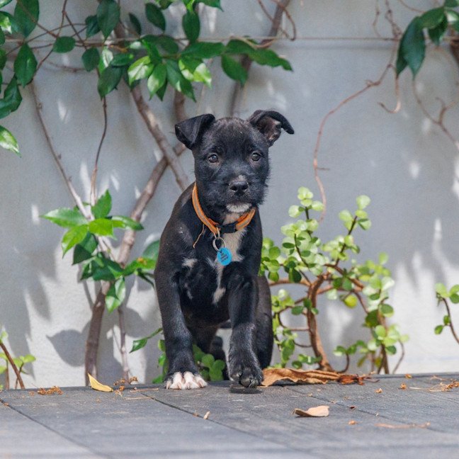 Photo of Emmie