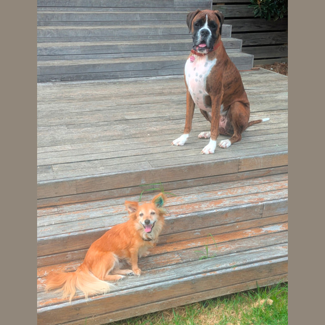 Photo of Holly Golightly