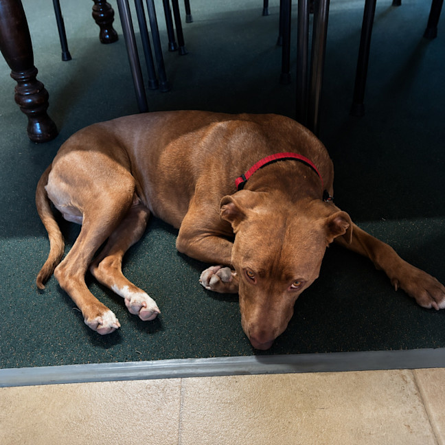 Photo of Ralph