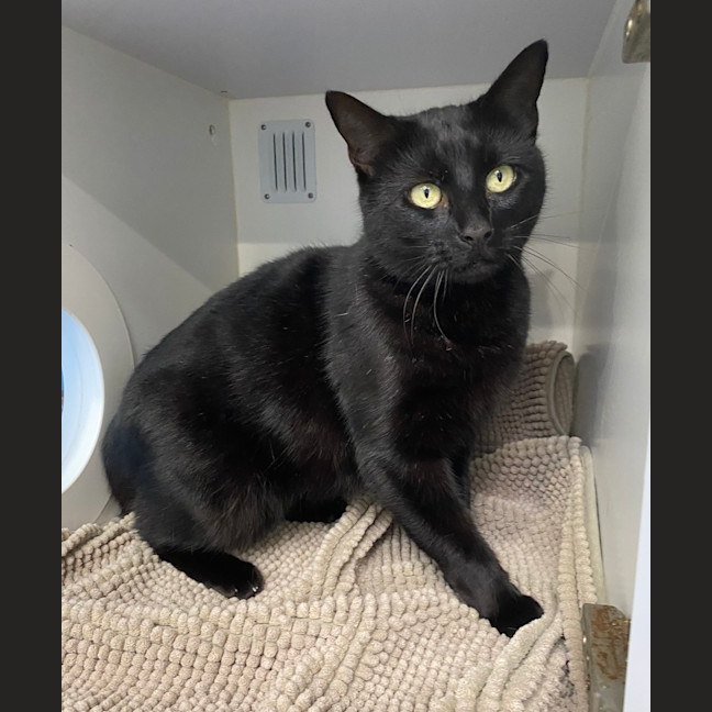 Photo of Cleo