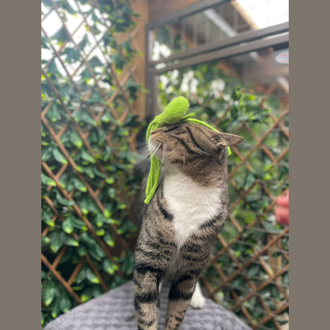 Photo of Sutton   Best Buds With Kevin   Check His Profile