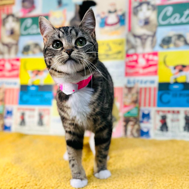 Photo of Taylor   Located In Preston