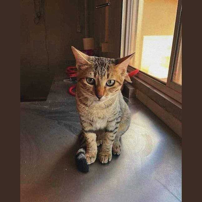Photo of Winnie