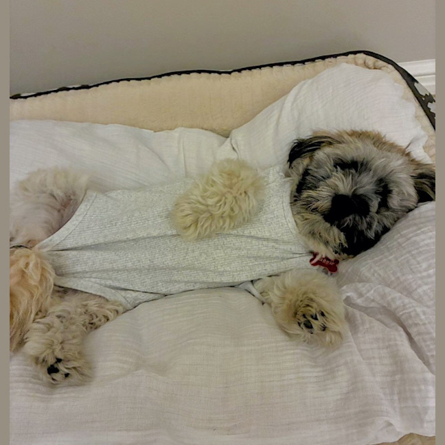 Photo of Maggie