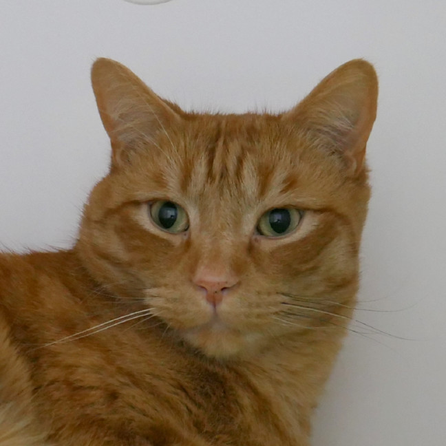 Photo of Antar Sua014348