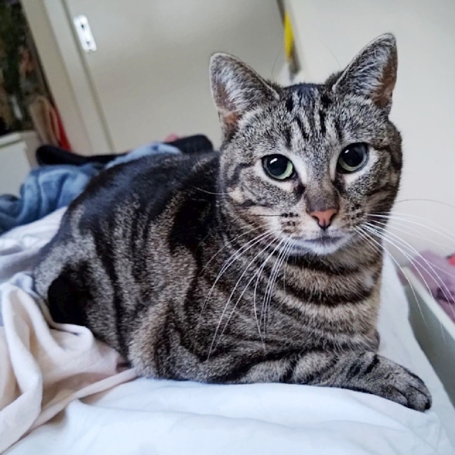 Photo of Thelma Sta012466