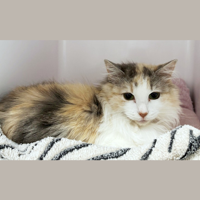 Photo of Greta Sta012876