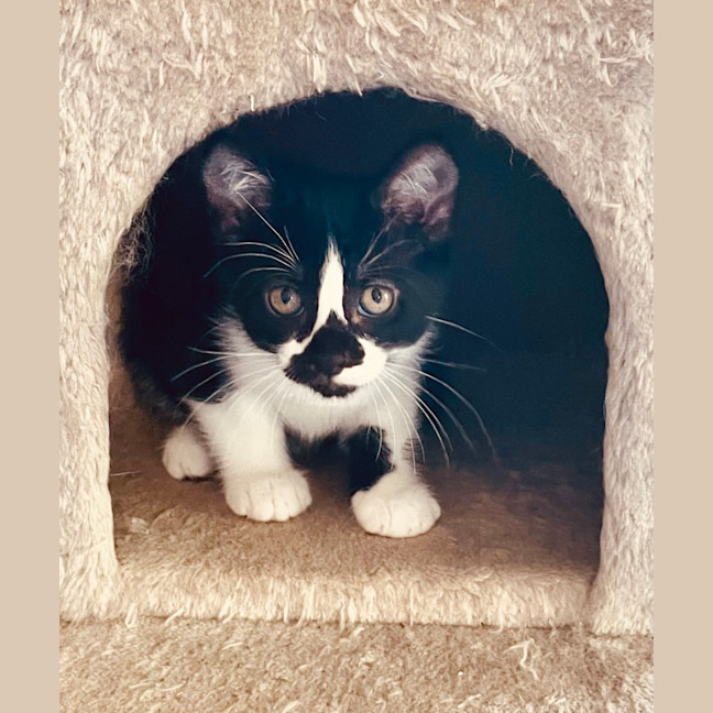 Photo of Dakota