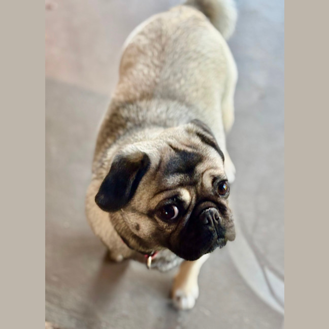 Photo of Betty